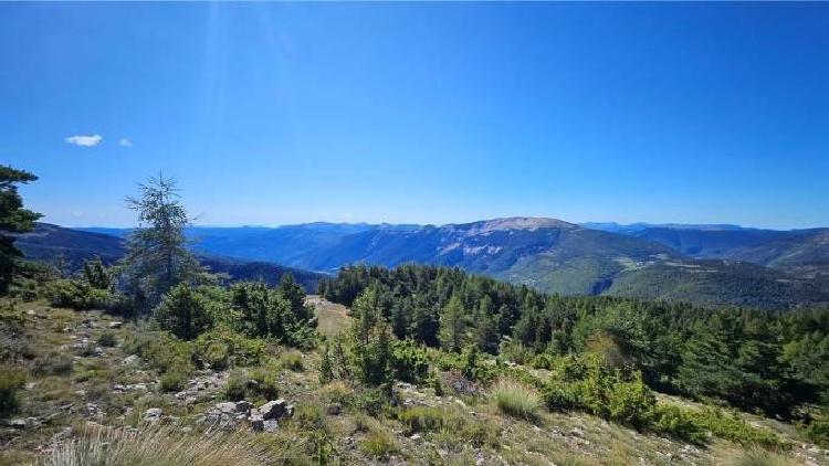 Tour du Courradour par les alpages depuis Peyresq